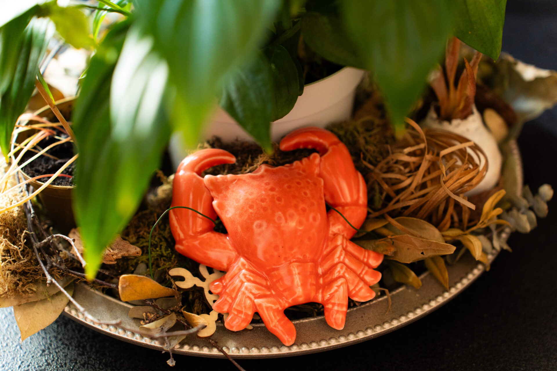 eine Krebsfigur in Rot unter ein paar Blättern einer Pflanze